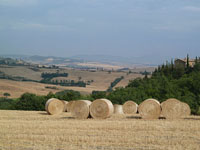 Crete Senesi