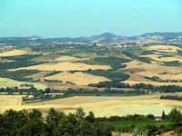 Montalcino - Val d'Orcia