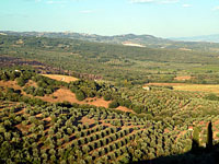 Montemassi - Blick vom Castello