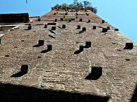 Lucca - Torre Guinigi