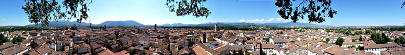Lucca - 360-Panorama vom Torre Guinigi