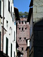 Lucca - Via Sant'Andrea mit Torre Guinigi