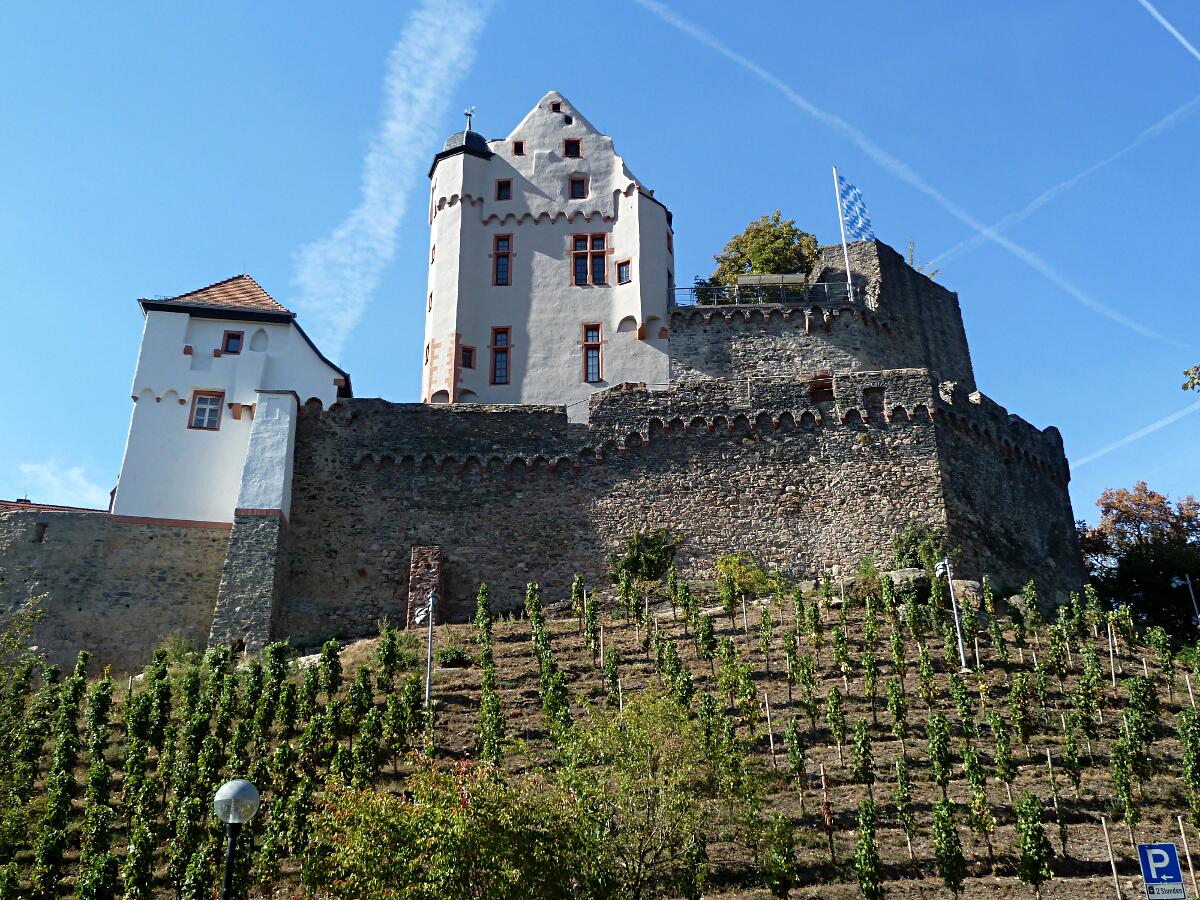 Burg Alzenau
