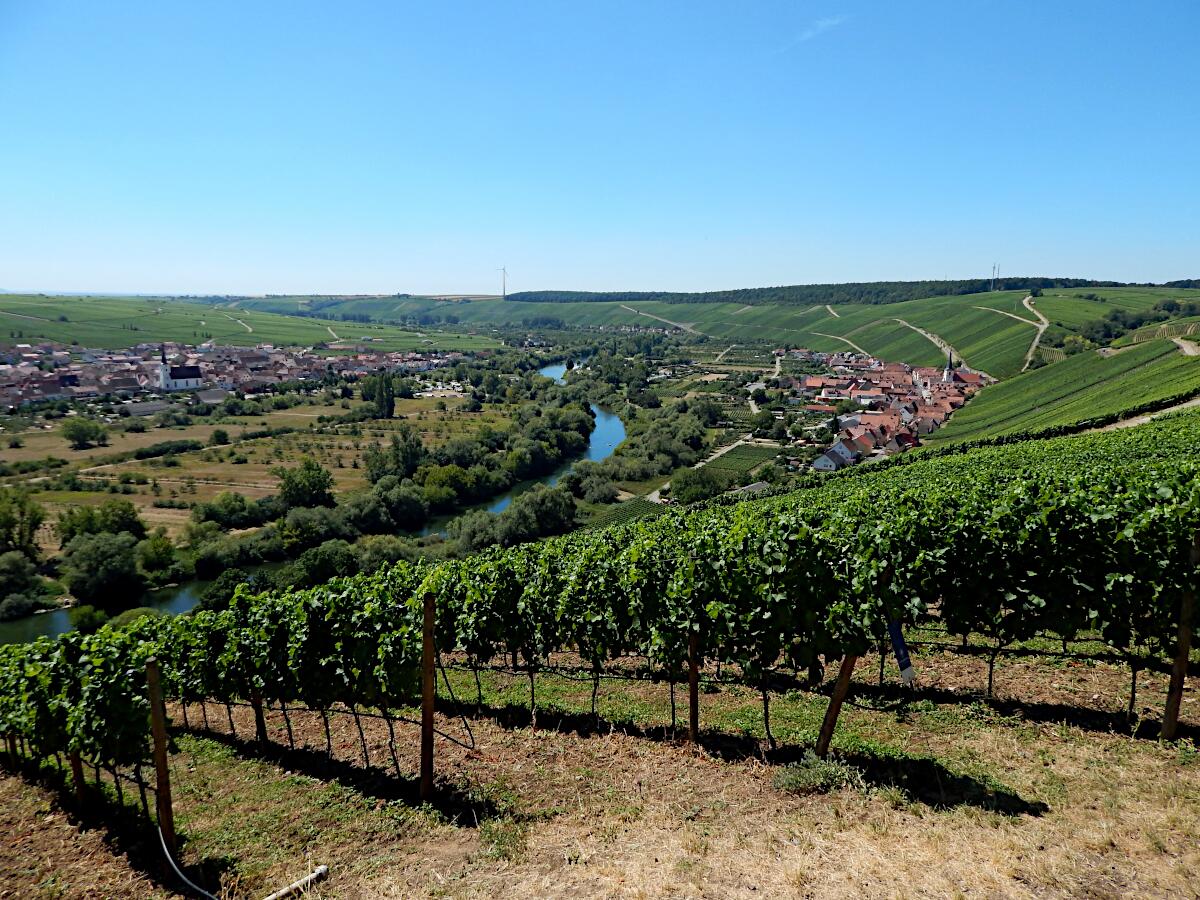 Mainschleife bei Volkach - im Hintergrund Nordheim und Escherndorf