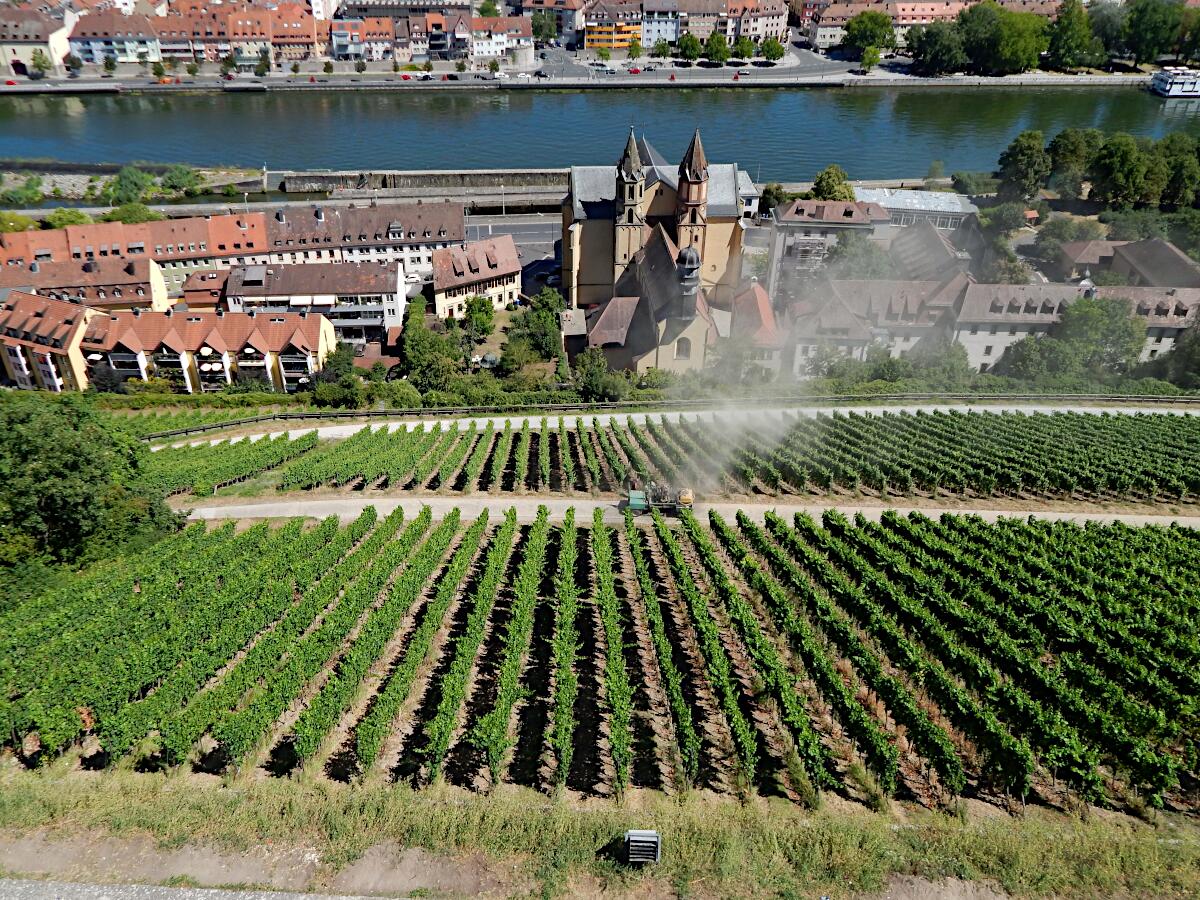 Schlossberg - St. Burkard (ab 1042) und Main