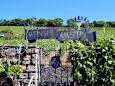 Weingut am Stein