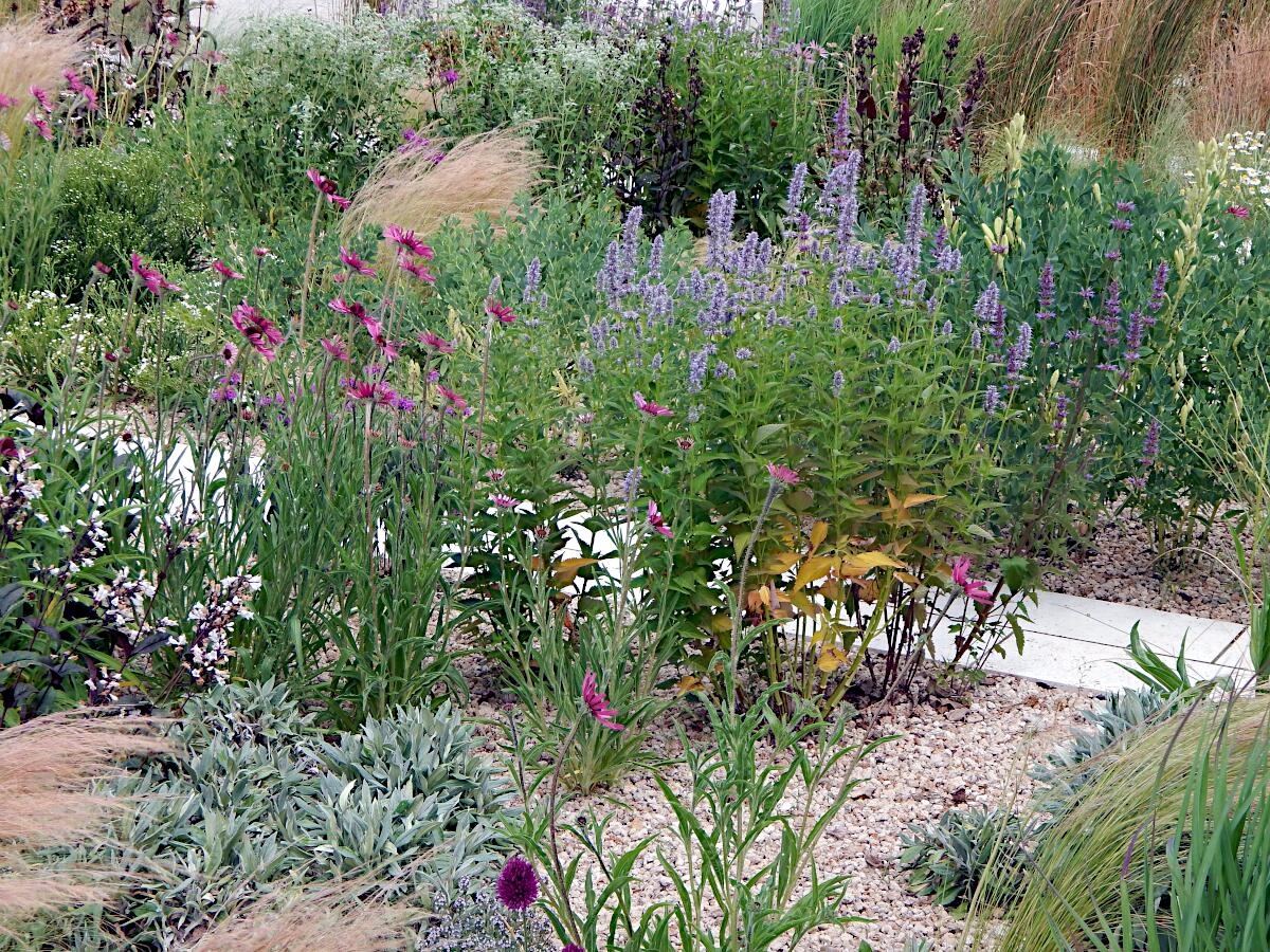 Landesgartenschau 2023 - Kulturgarten