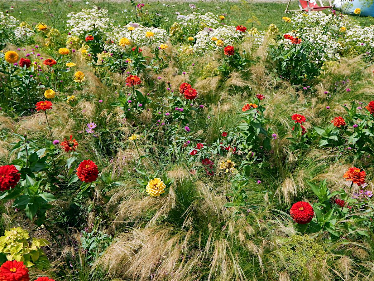 Landesgartenschau 2023 - Kulturgarten