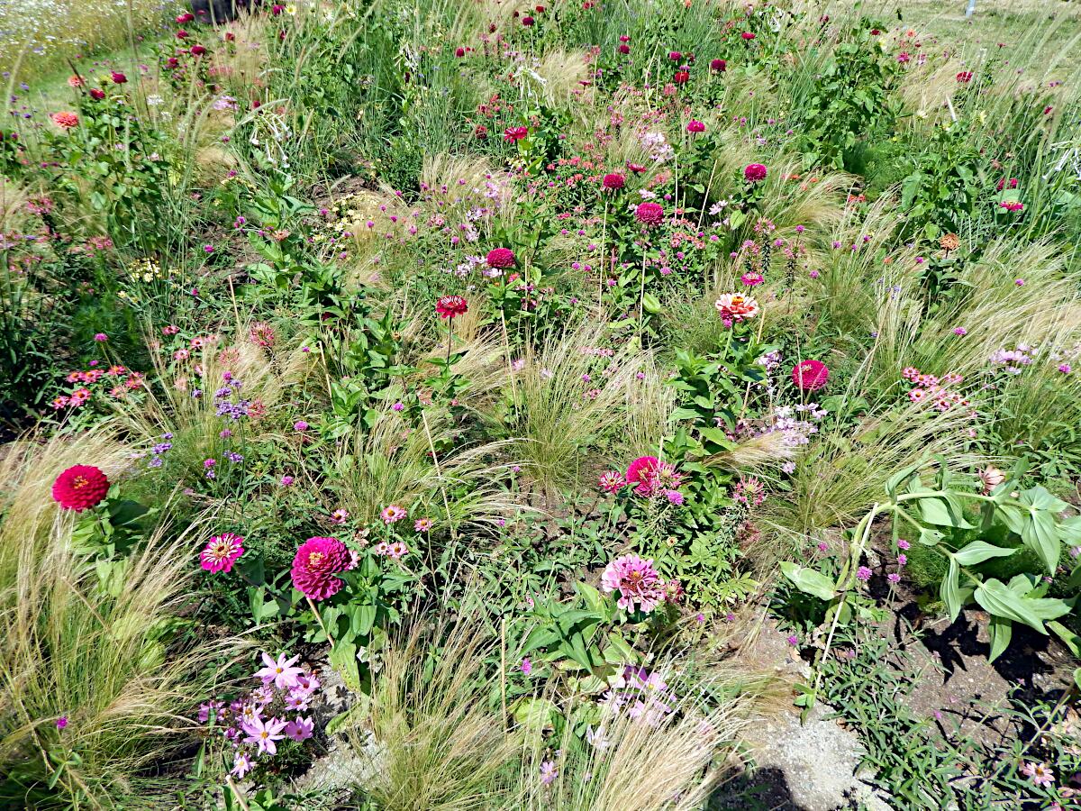 Landesgartenschau 2023 - Kulturgarten