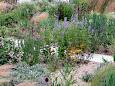 Landesgartenschau 2023 - Kulturgarten