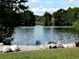 Aueweiher