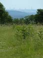 Frankfurter Skyline - Blick vom Glauberg