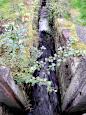 Herrenmhle (1440) - Schleuse