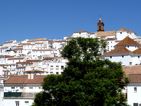 Alcal� de los Gazules