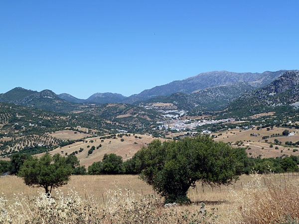 Parque Natural de los Alcornocales - im Hintergrund Ubrique