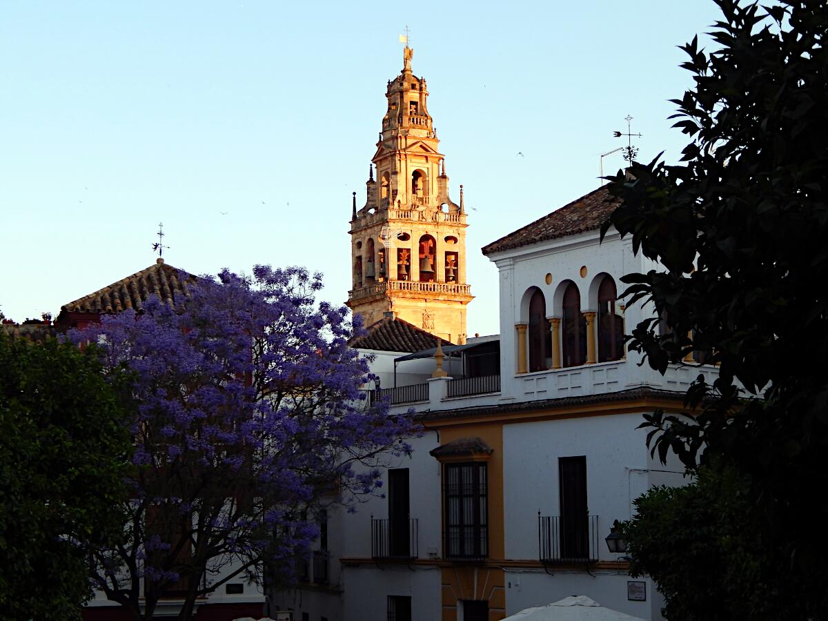 Plaza Agrupaci�n de Cofrad�as - im Hintergrund Torre Campanario