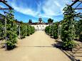 Bildergalerie Sanssouci (1755-64)