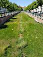 Stadtkanal (1673; Wiederfreilegung ab 1999)