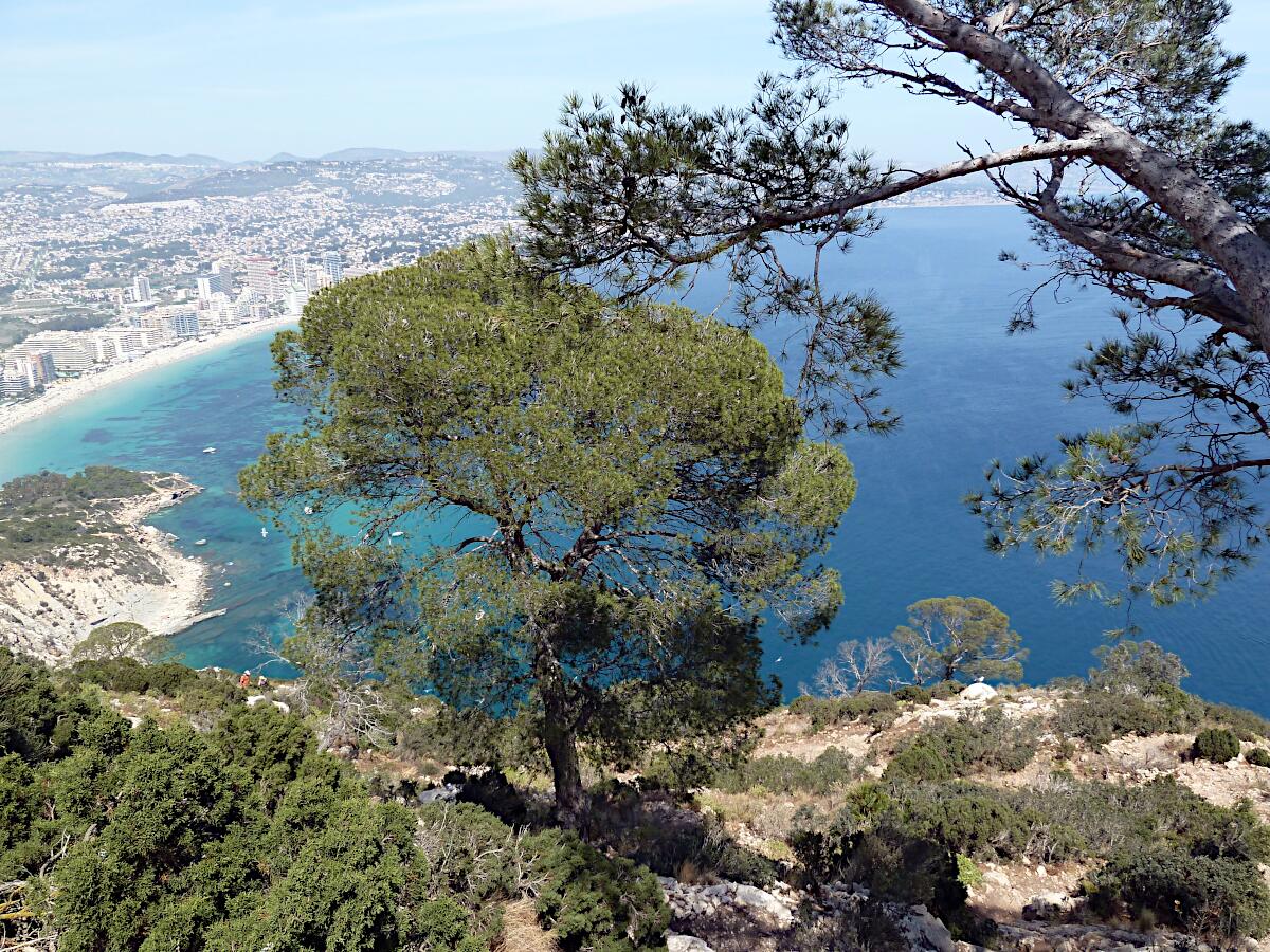 Calp - Penyal d'Ifac (im Hintergrund Platja de Levante)