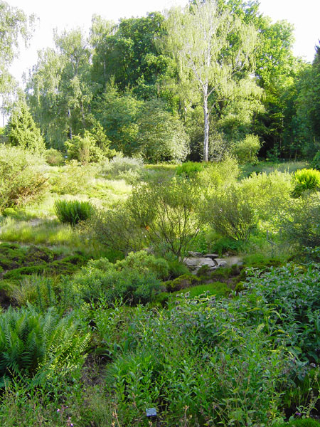 Botanischer Garten