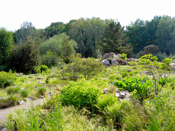 Botanischer Garten