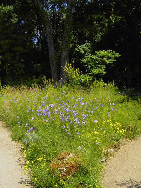 Botanischer Garten