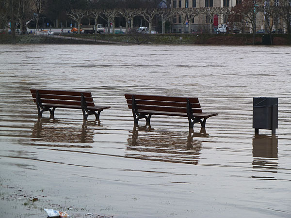 Mainufer an der Friedensbr�cke (18. Januar)