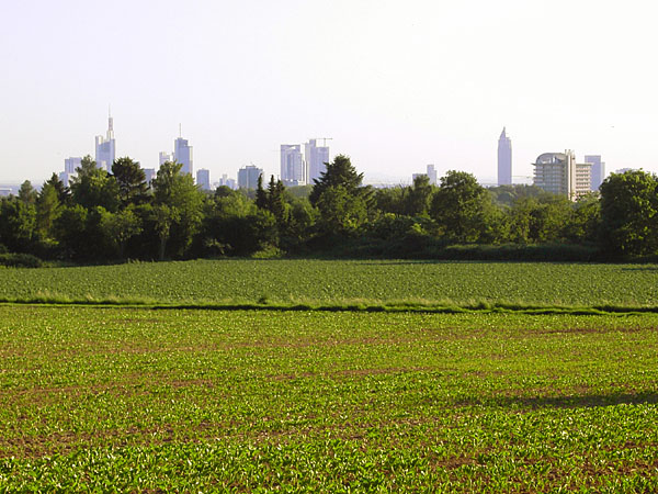 Blick von der Anh�he der Berger Warte