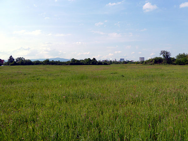 Sossenheimer Unterfeld - Blickrichtung Eschborn