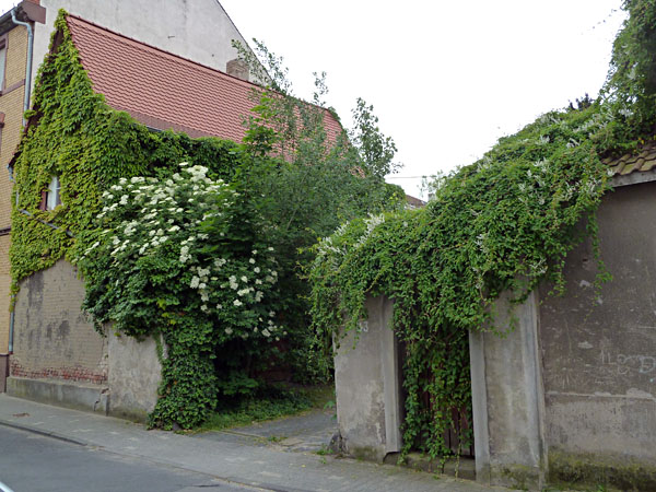 Woogstra�e