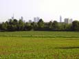 Blick von der Anh�he der Berger Warte