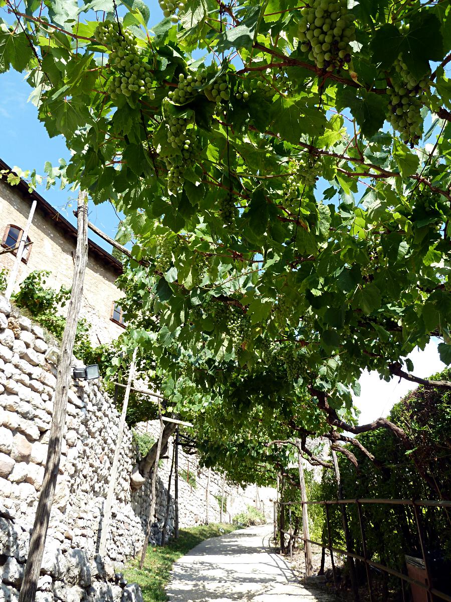 Castello di Sabbionara (ab 11. Jh.) - Aufgang zum Palazzo