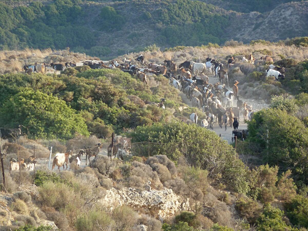 Andim�chia - Kastell