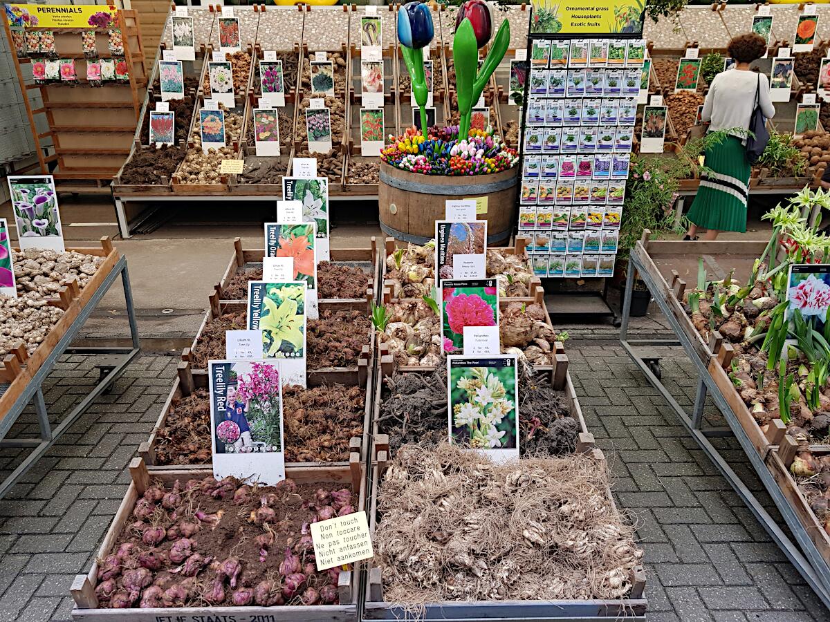 Singel - Bloemenmarkt