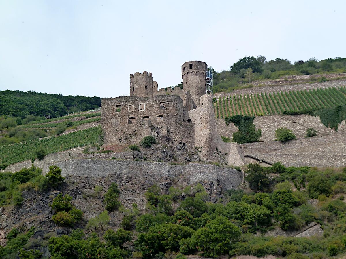Burg Ehrenfels (13. Jh.)